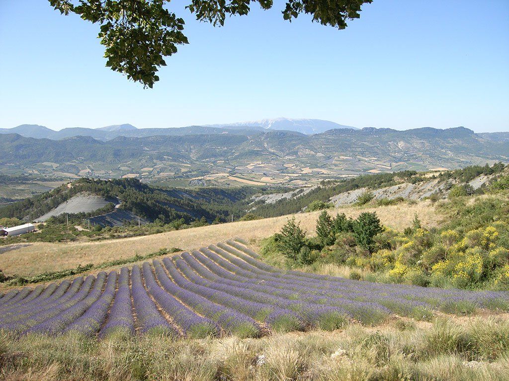 Baronnies2-1920w